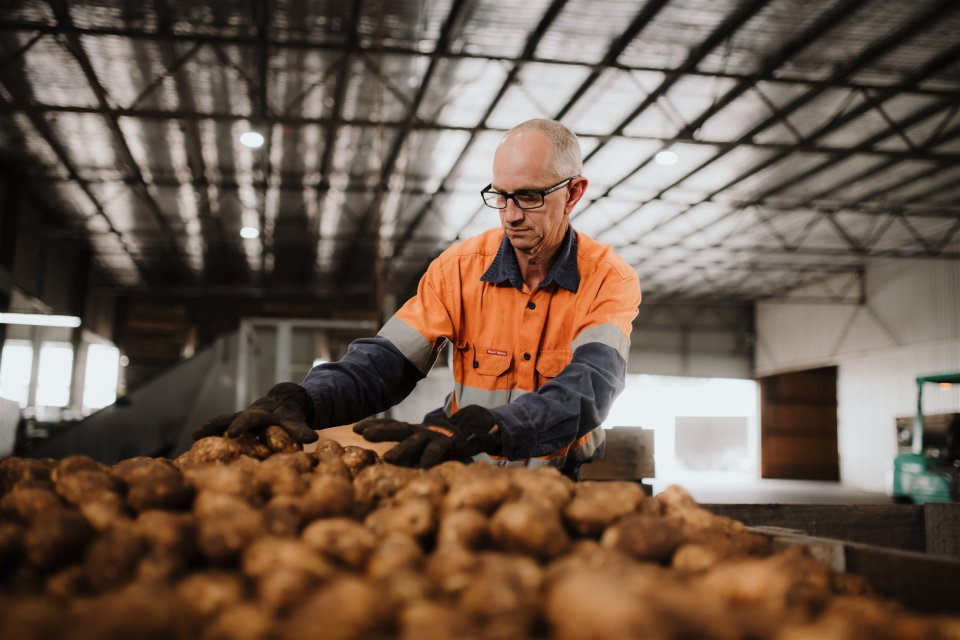 cherry-hill-potato-farm-northern-tasmania