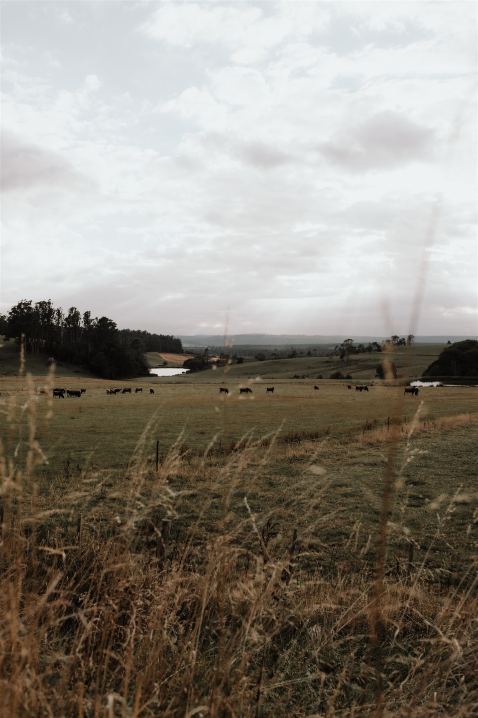 Jgazzignato sgroup mcmf 10