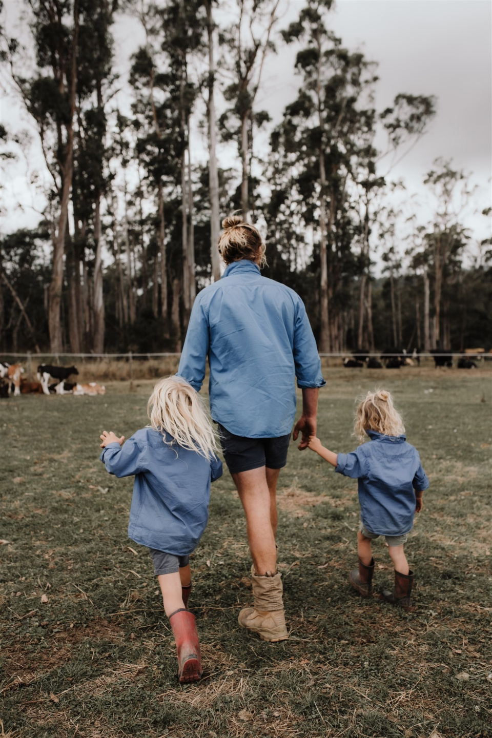 Jgazzignato sgroup mcmf 32